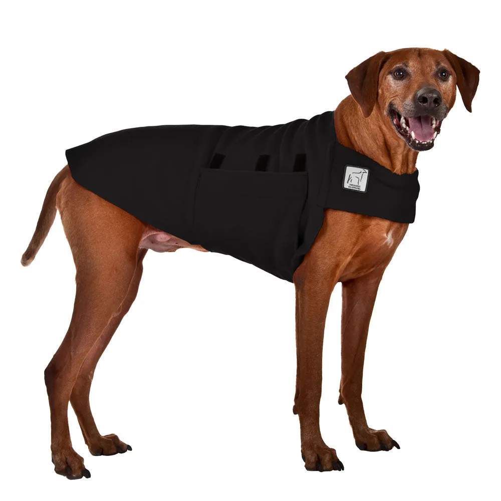 ReCoat ♻️ Rhodesian Ridgeback Tummy Warmer