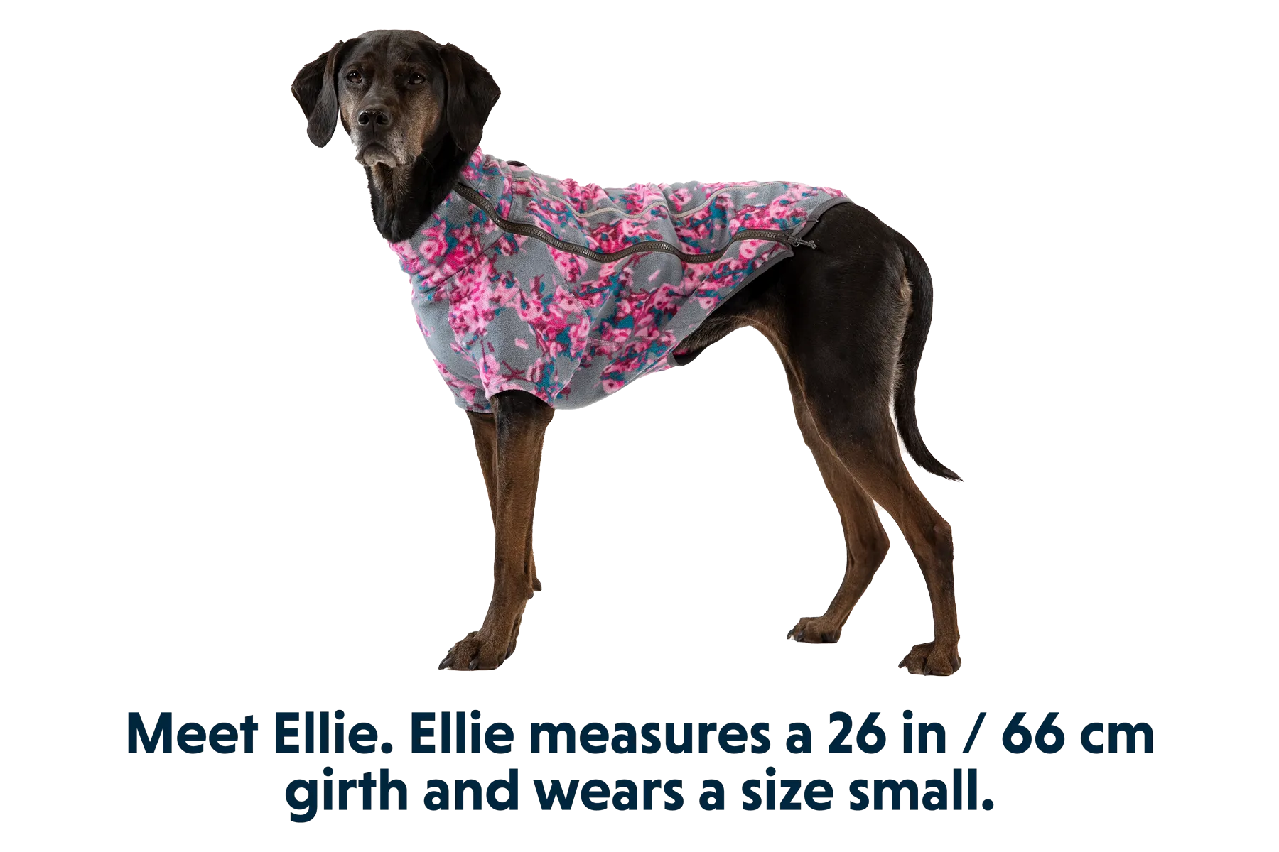 RP - Climate Changer™ Dog Fleece